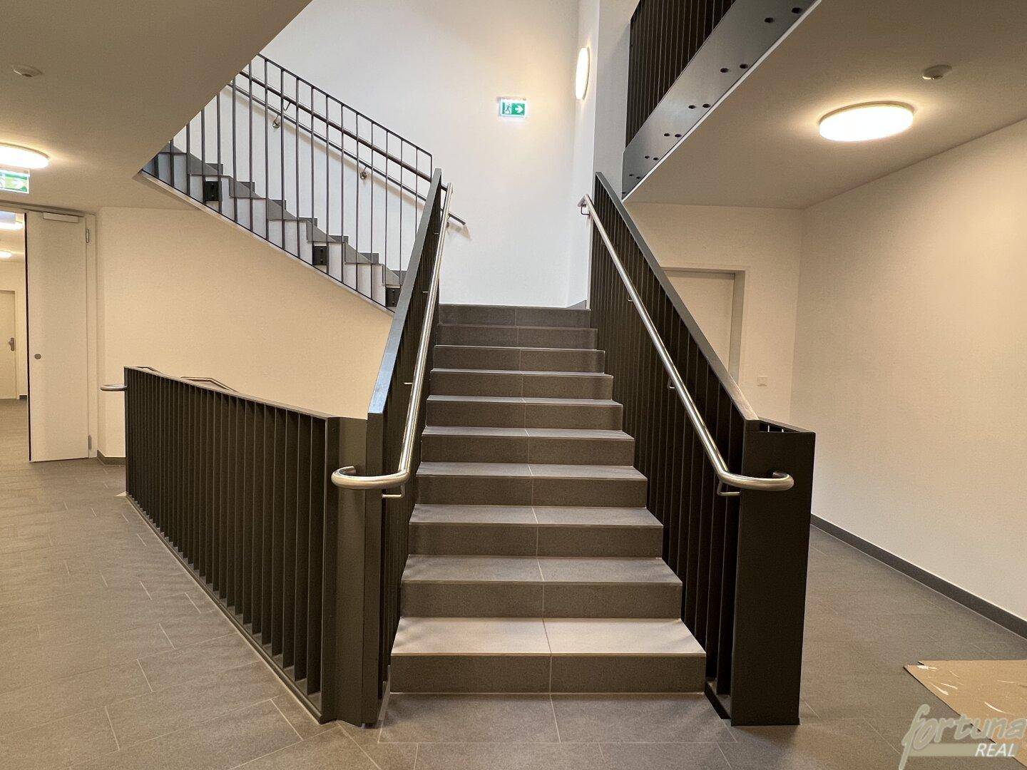 Modernes Treppenhaus mit robusten Stufen und Geländer in einem Mehrfamilienhaus.