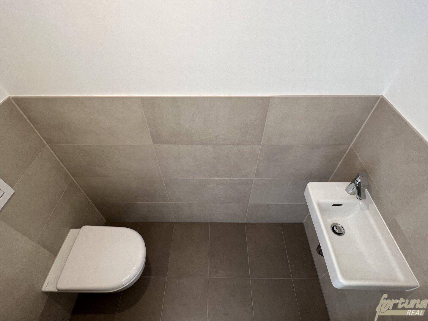 Kleines Gäste-WC mit Wand-WC, Einzelwaschbecken und modernen Fliesen.