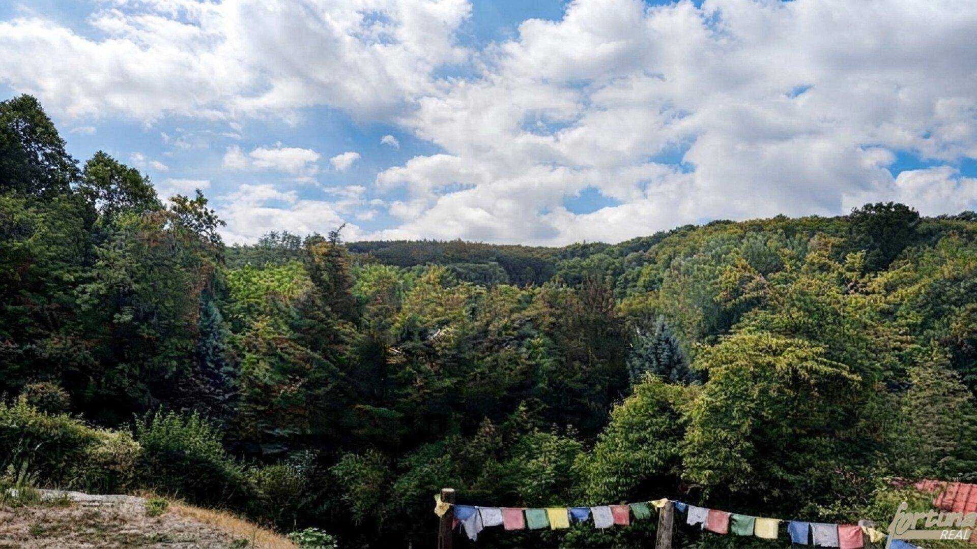 Ausblick von der Terrasse