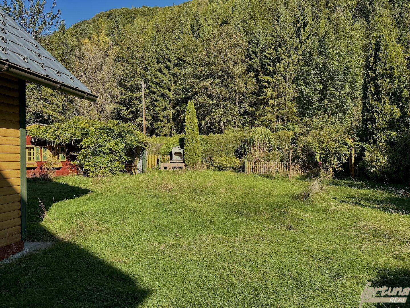 Sonniger Garten mit weitläufiger Rasenfläche, umgeben von Hecken und einem dichten Wald.