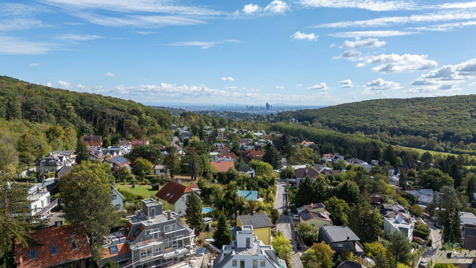 Ausblick