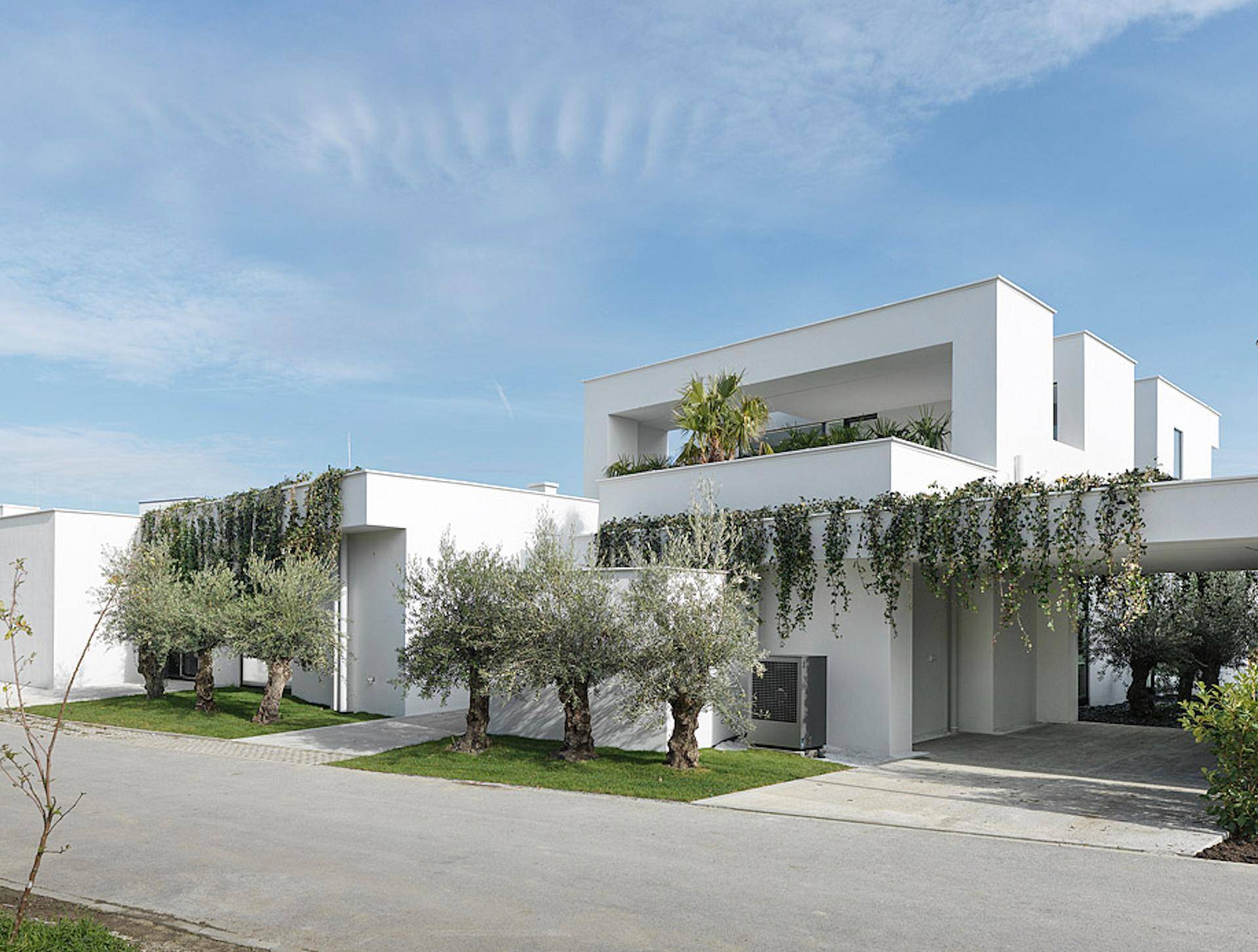 Elegante moderne Villa mit weißer Fassade, Olivenbäumen und gepflegter Auffahrt.