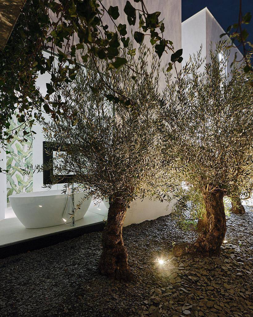 Beleuchteter Gartenbereich bei Nacht mit Olivenbäumen und Blick auf eine freistehende Badewanne im Inneren.