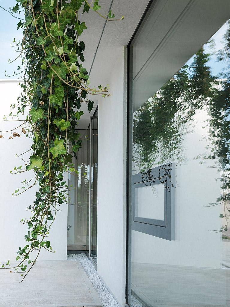 Moderne Fassade mit Rankpflanzen und großen Glasflächen, die das Innere widerspiegeln.