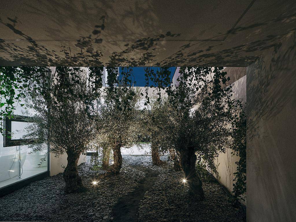 Beleuchteter Innenhof bei Nacht mit Olivenbäumen und Kletterpflanzen, die eine ruhige Atmosphäre schaffen.