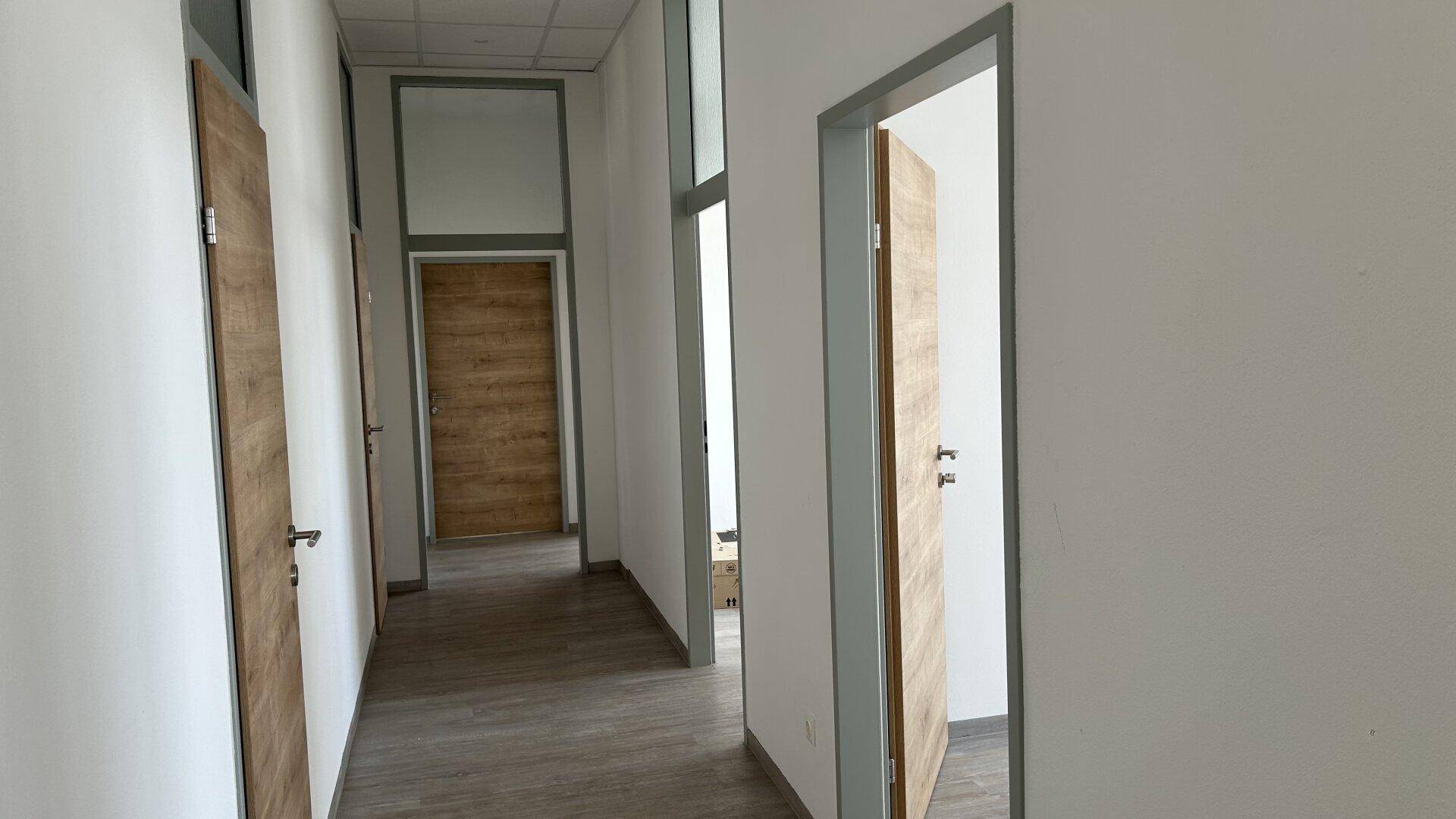 Heller Flur mit Holztüren und grauen Türrahmen, der eine moderne und einladende Atmosphäre schafft.