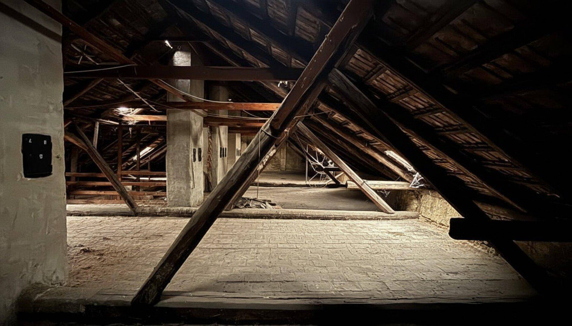 Großer Dachbodenbereich mit Holzdachstuhl und dunkler Atmosphäre.