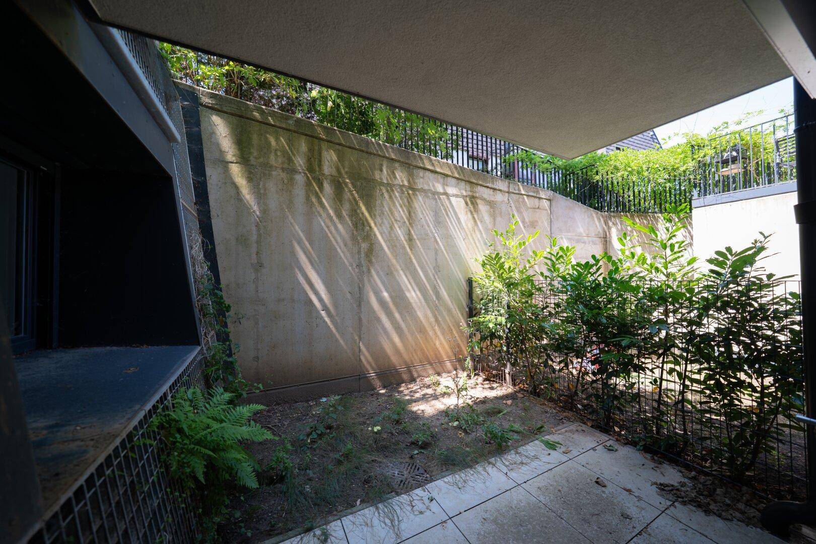 Kleiner Gartenbereich mit Betonwänden und jungen Pflanzen, bietet Potenzial zur Gestaltung.