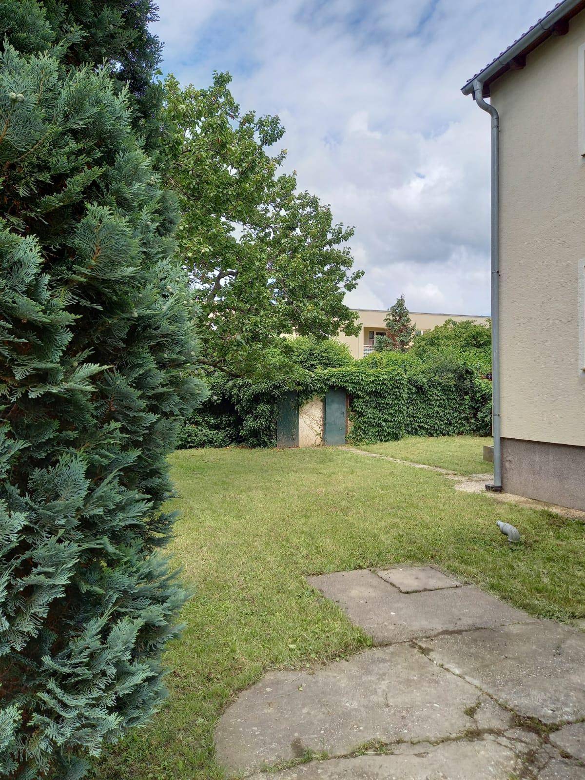 Grüner Gartenbereich mit Rasenfläche, hohen Bäumen und einem kleinen Gartenschuppen.