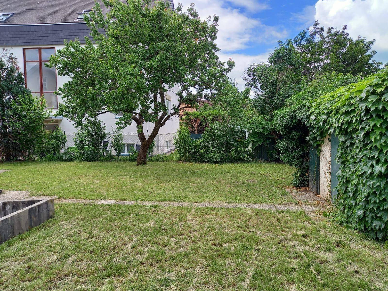 Weitläufiger Garten mit großer Rasenfläche und einem imposanten, alten Baum in der Mitte.
