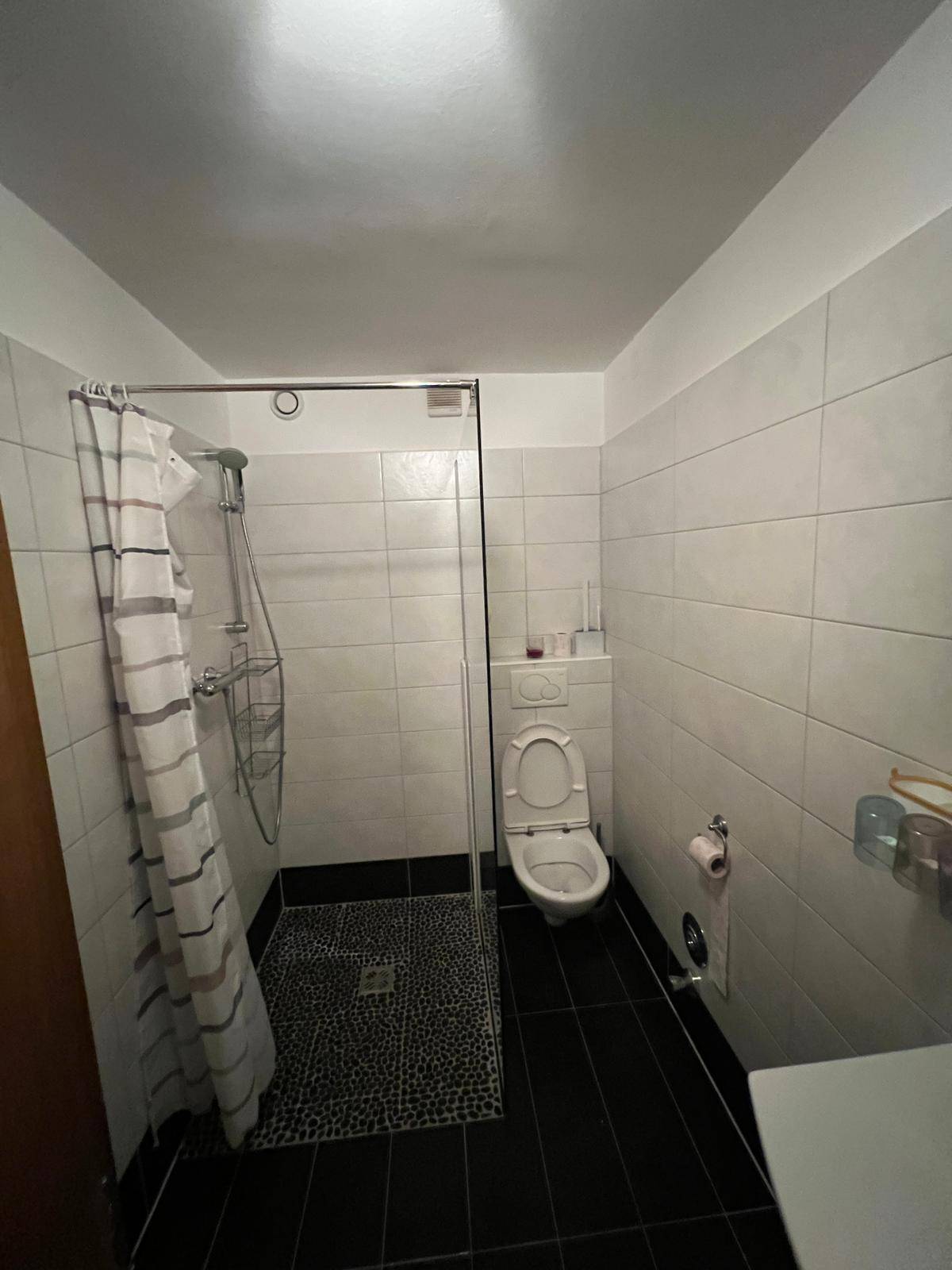 Badezimmer mit Duschkabine, WC und weißen Wandfliesen, funktional und sauber.