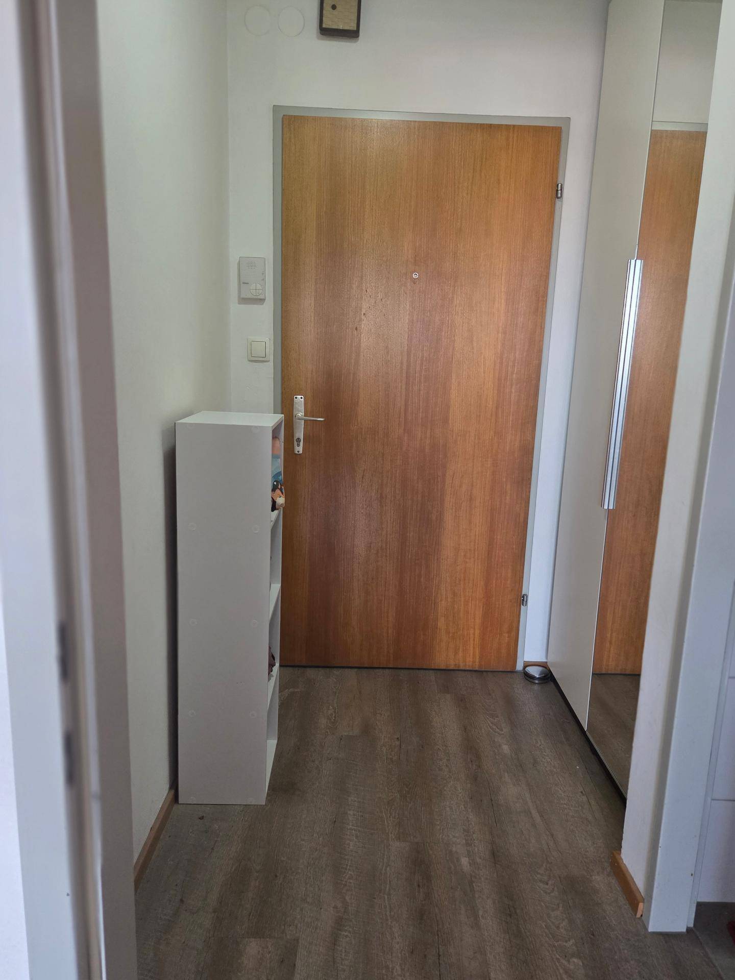Eingangsbereich mit Holztür, Spiegel und modernem Laminatboden.