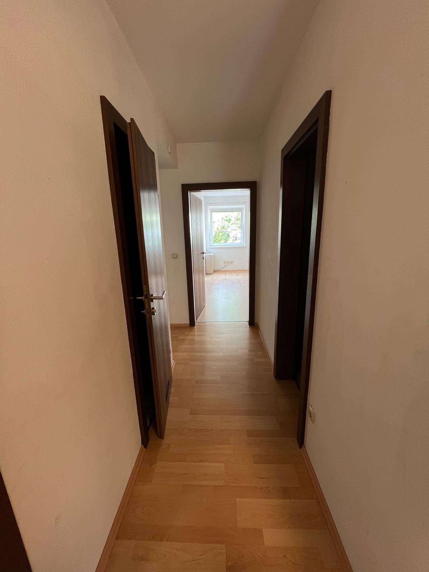 Heller Flur mit Laminatboden und dunklen Holztüren, der zu weiteren Räumen führt.