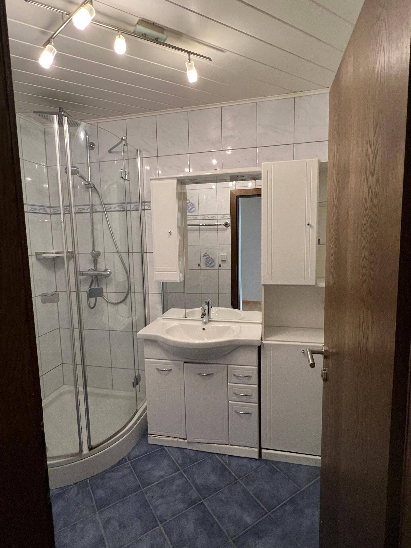 Badezimmer mit Duschkabine, Waschbecken und Spiegelschrank, gefliest in Blau und Weiß.