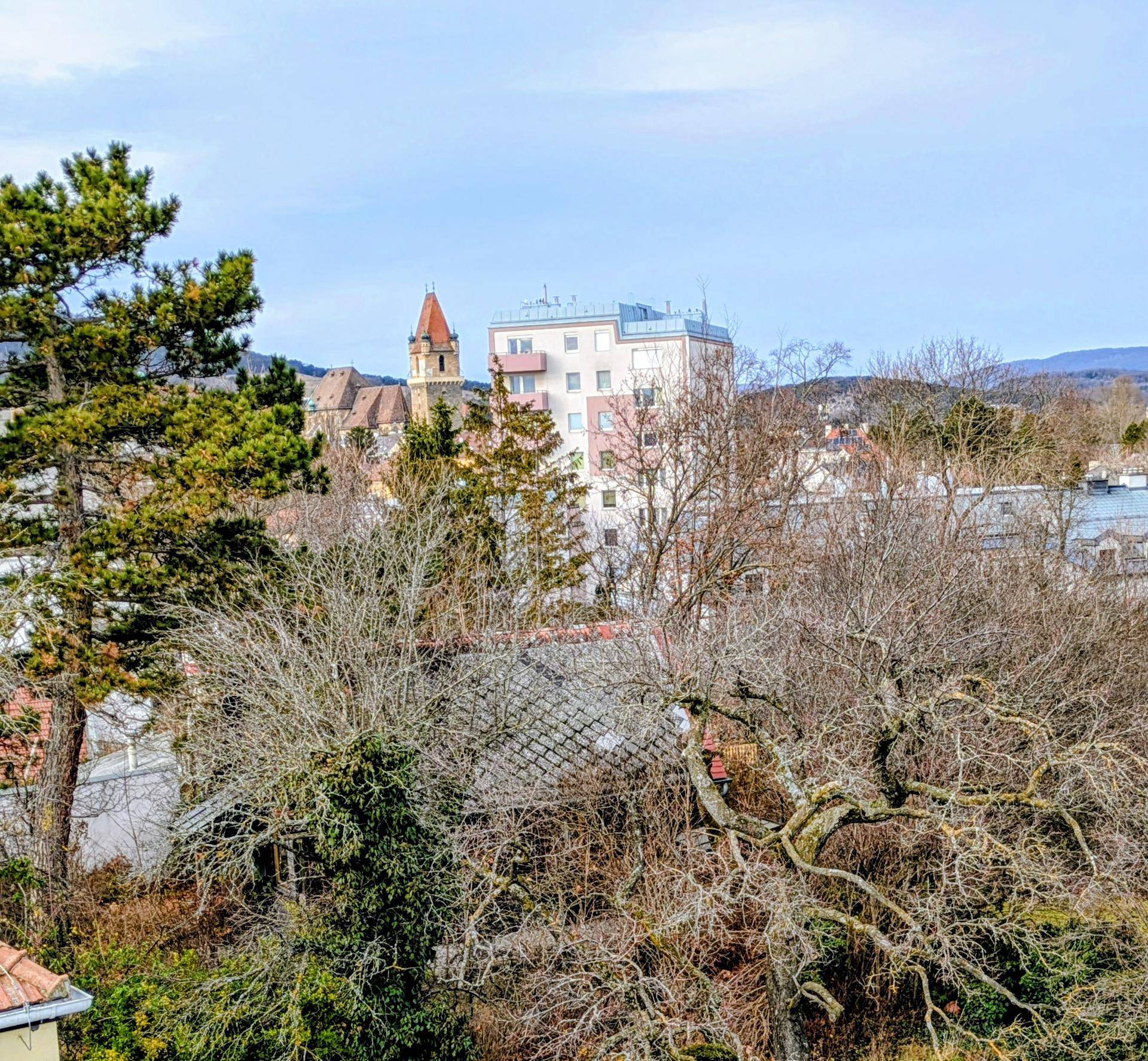 Blick über eine Wohngegend mit historischen Gebäuden und einem markanten Kirchturm im Hintergrund.