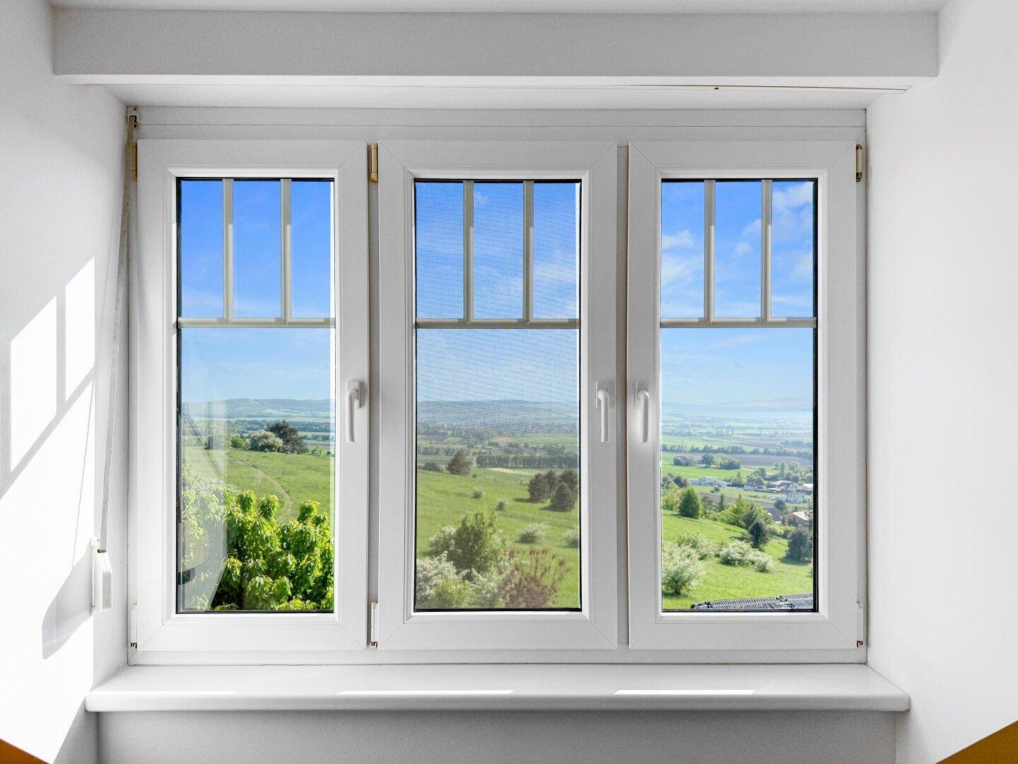 Fenster mit weitem Blick über grüne Landschaft und den Horizont.