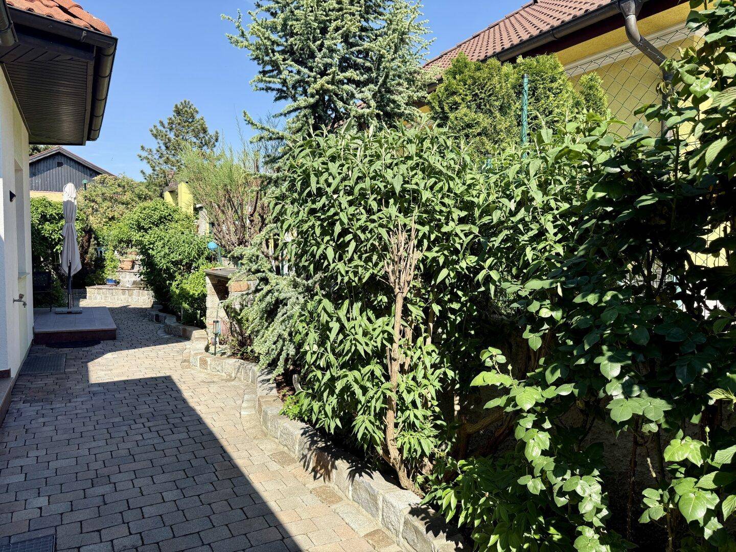 Gepflasterter Gartenweg, umgeben von dichten Hecken und vielfältiger Bepflanzung.