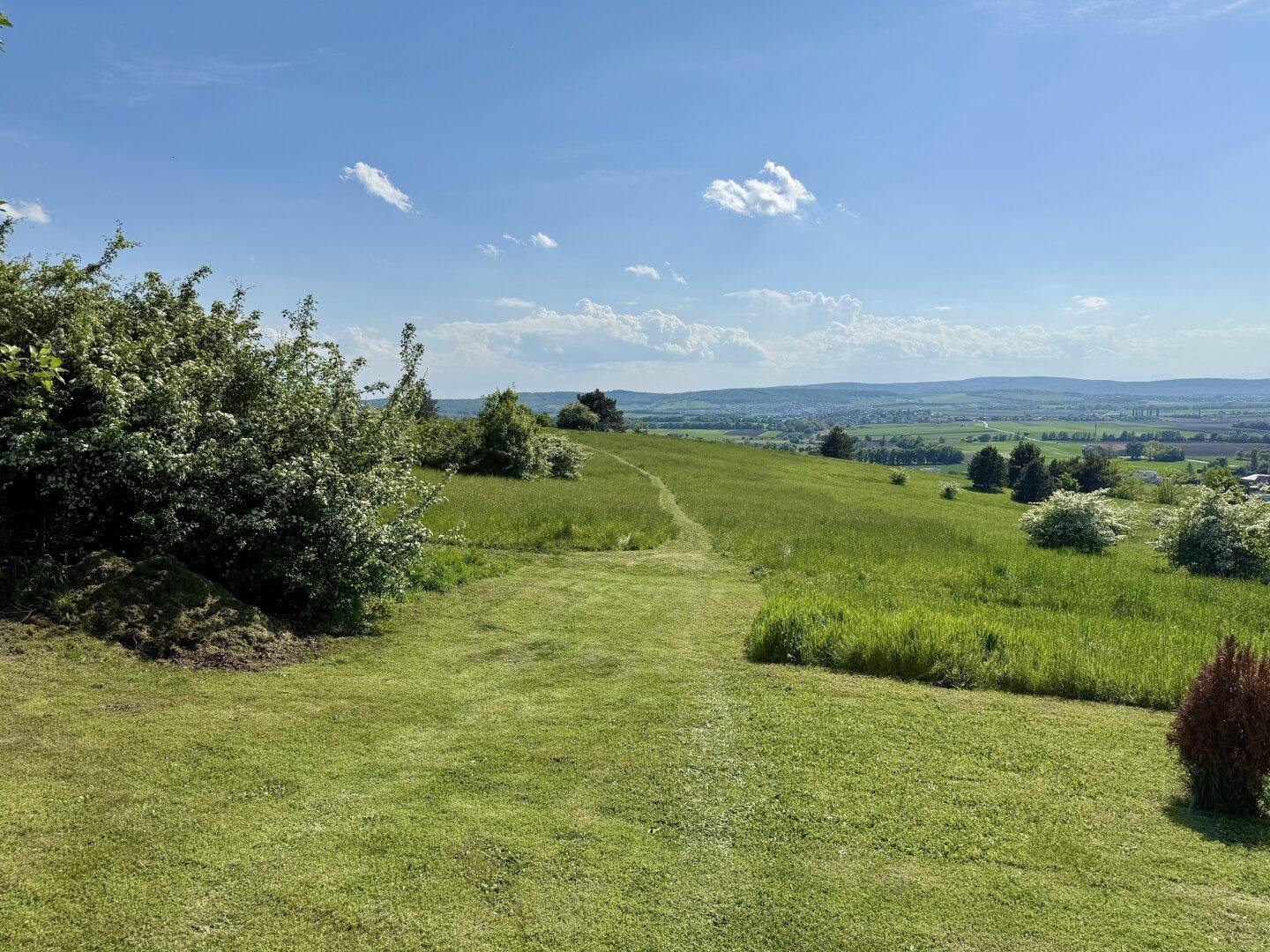 Weitläufige grüne Hügellandschaft mit Blick in die Ferne unter einem klaren blauen Himmel.