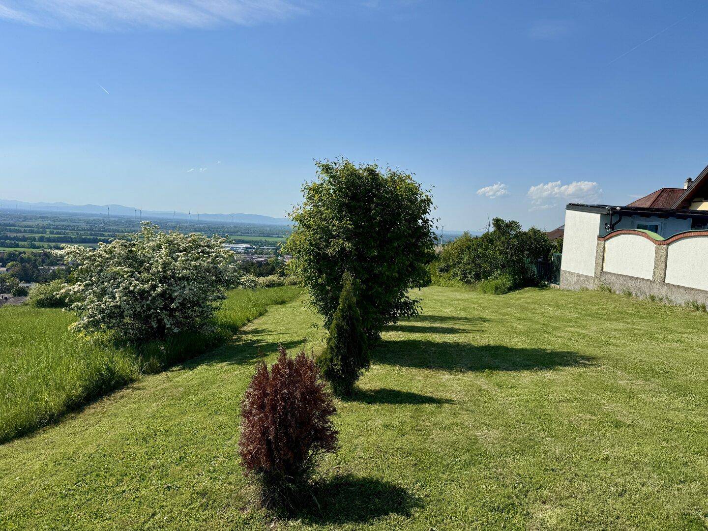 Panoramablick über eine grüne Wiese mit einzelnen Bäumen und einem Haus am Horizont.