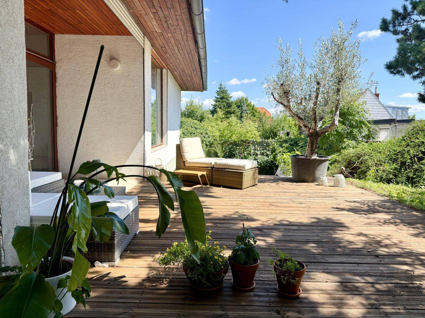 Sonnige Holzterrasse mit Pflanzen und bequemen Sitzgelegenheiten.