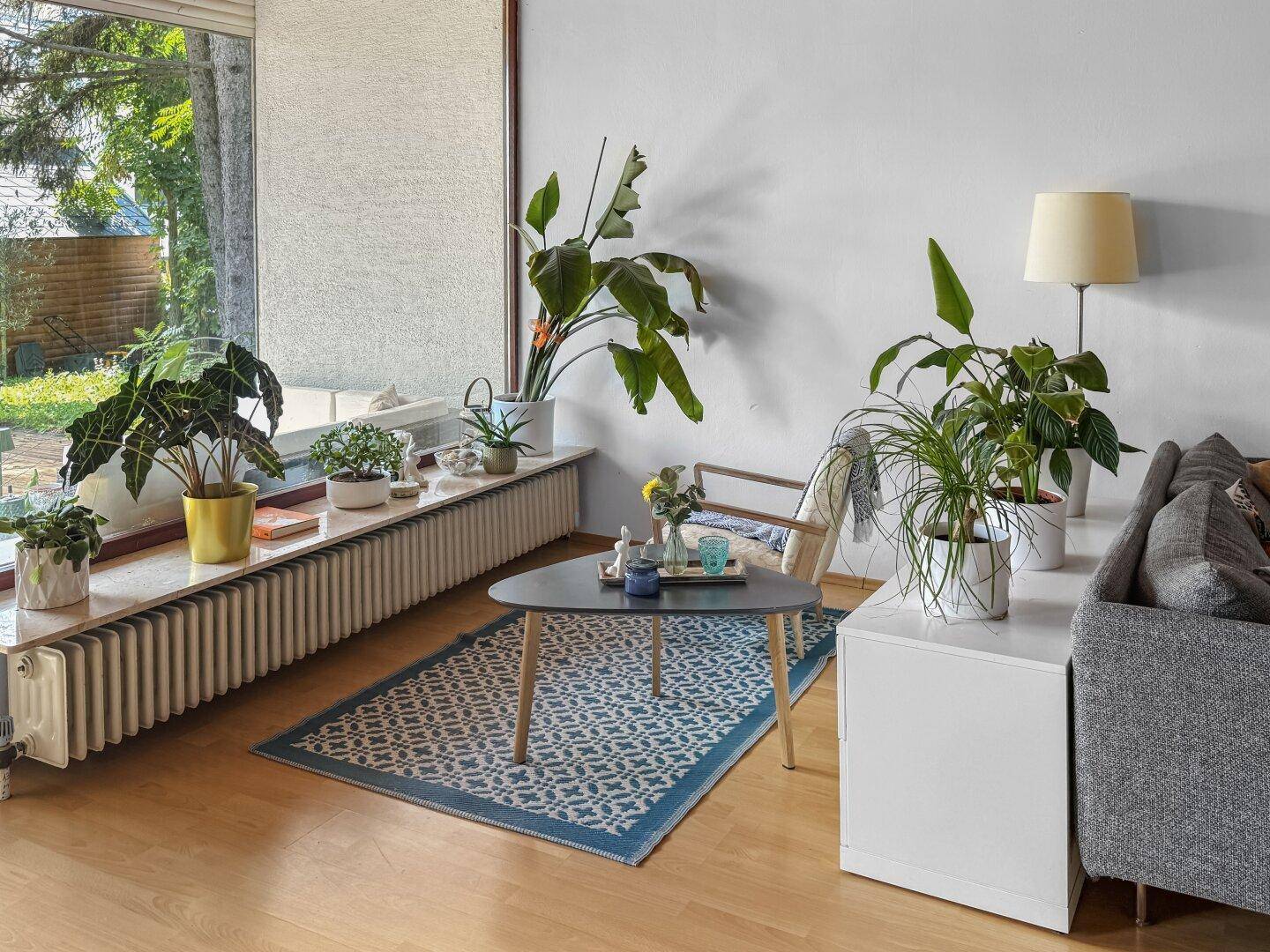 Helles Wohnzimmer mit bequemer Couch, Couchtisch und vielen Zimmerpflanzen.