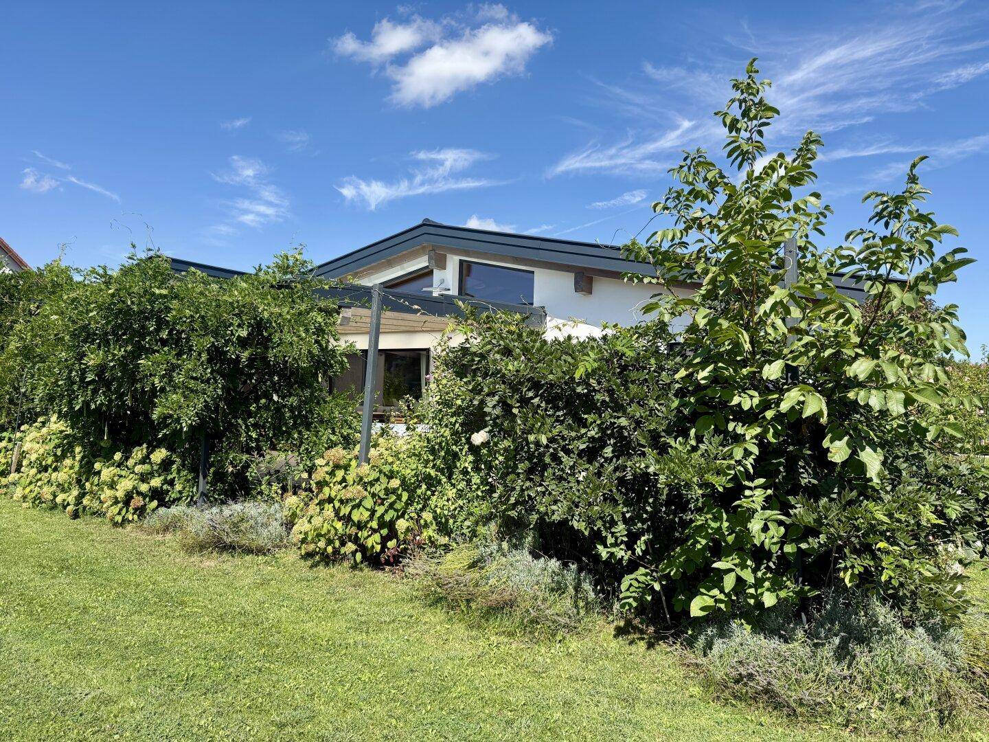 Modernes Haus mit Flachdach, umgeben von üppiger grüner Bepflanzung unter strahlend blauem Himmel.