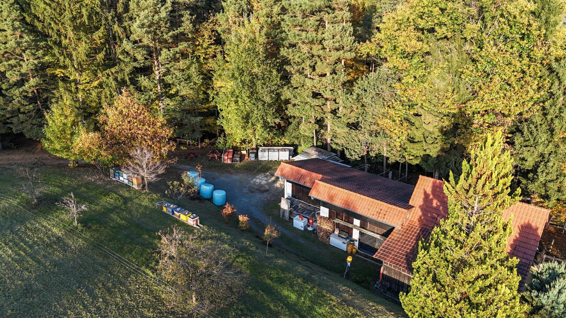 Luftaufnahme eines Anwesens mit Gebäude, umgeben von Wald und Bienenstöcken.