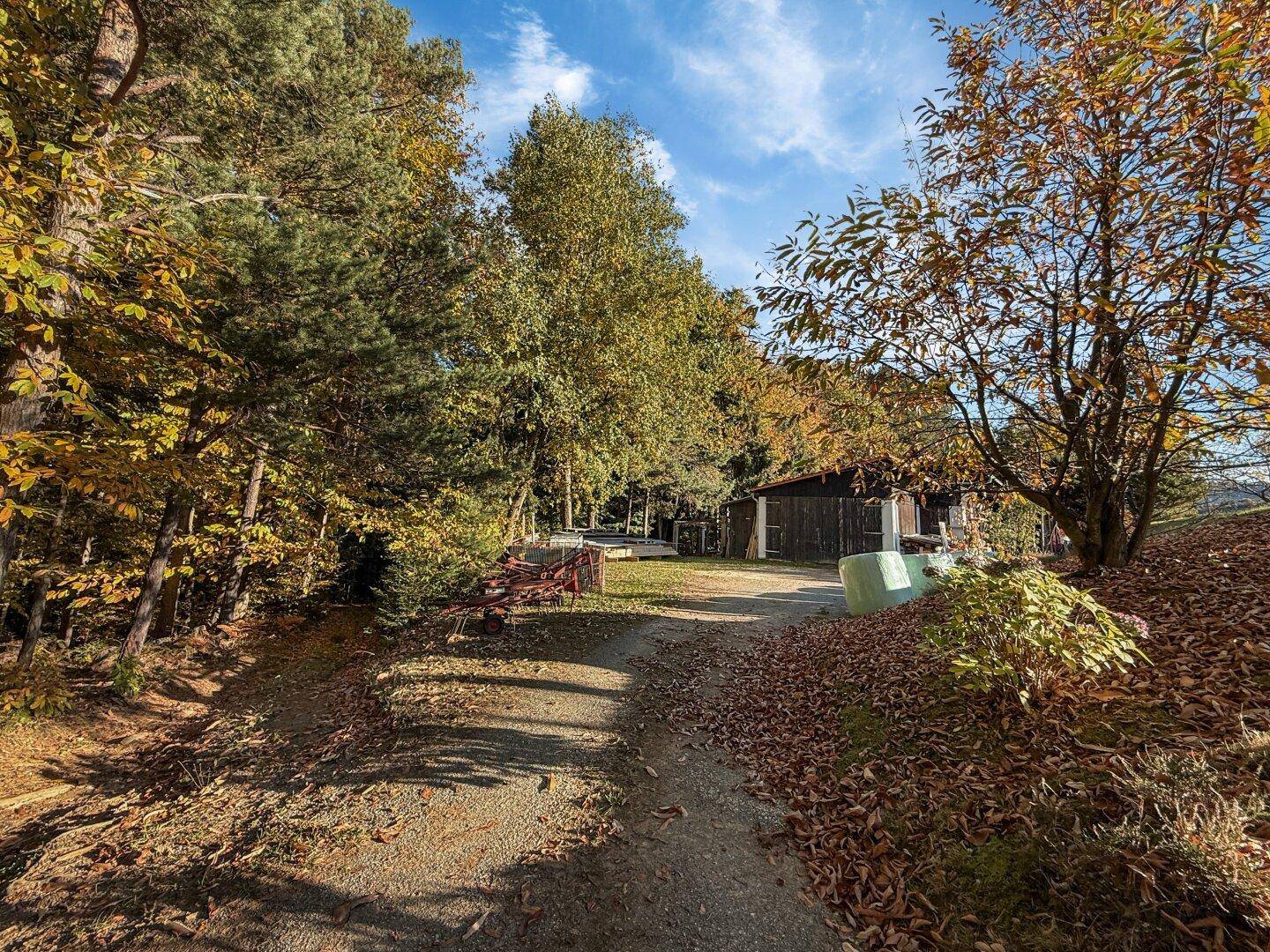 Feldweg führt durch bewaldetes Gebiet zu einem abgelegenen Gebäude im Hintergrund.