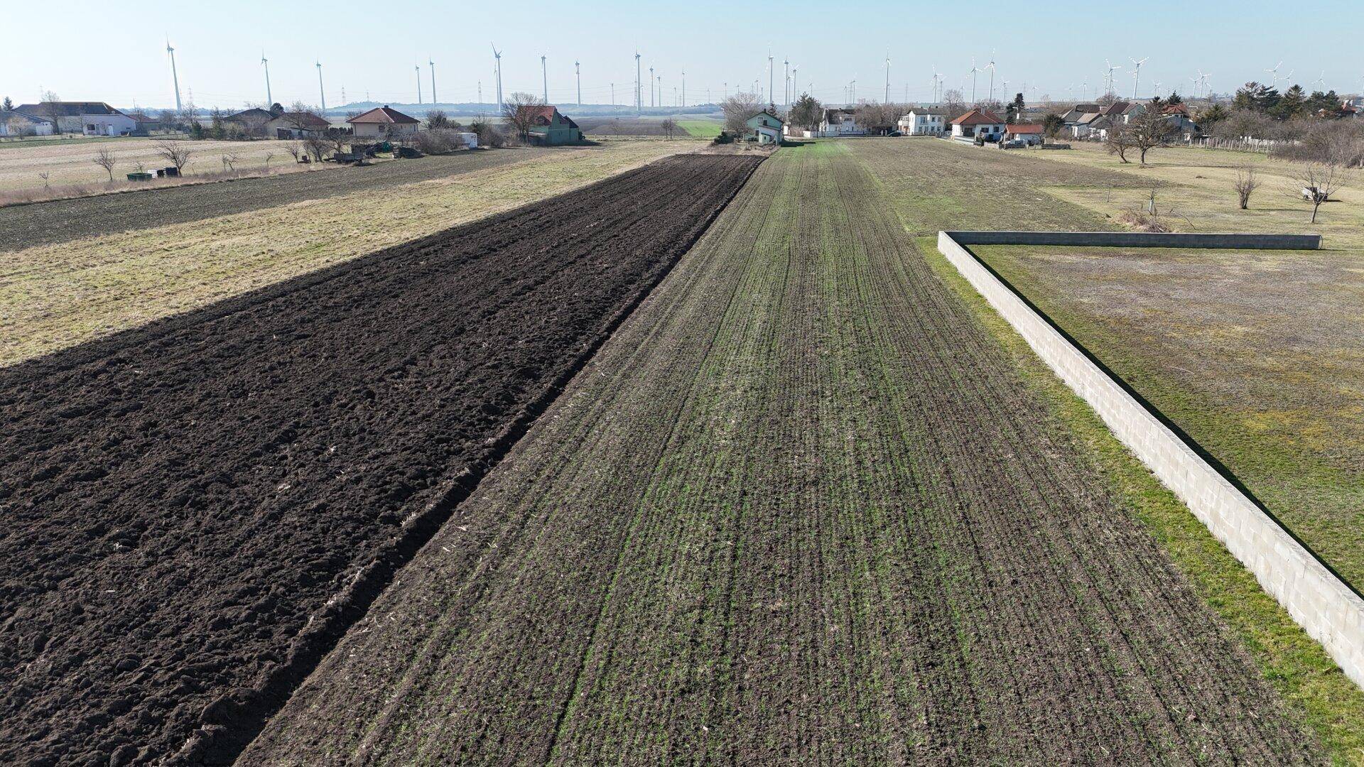 Ruhiges Baugrundstück am Ende einer Sackgasse - 660 m² in Nickelsdorf - Ansicht 2