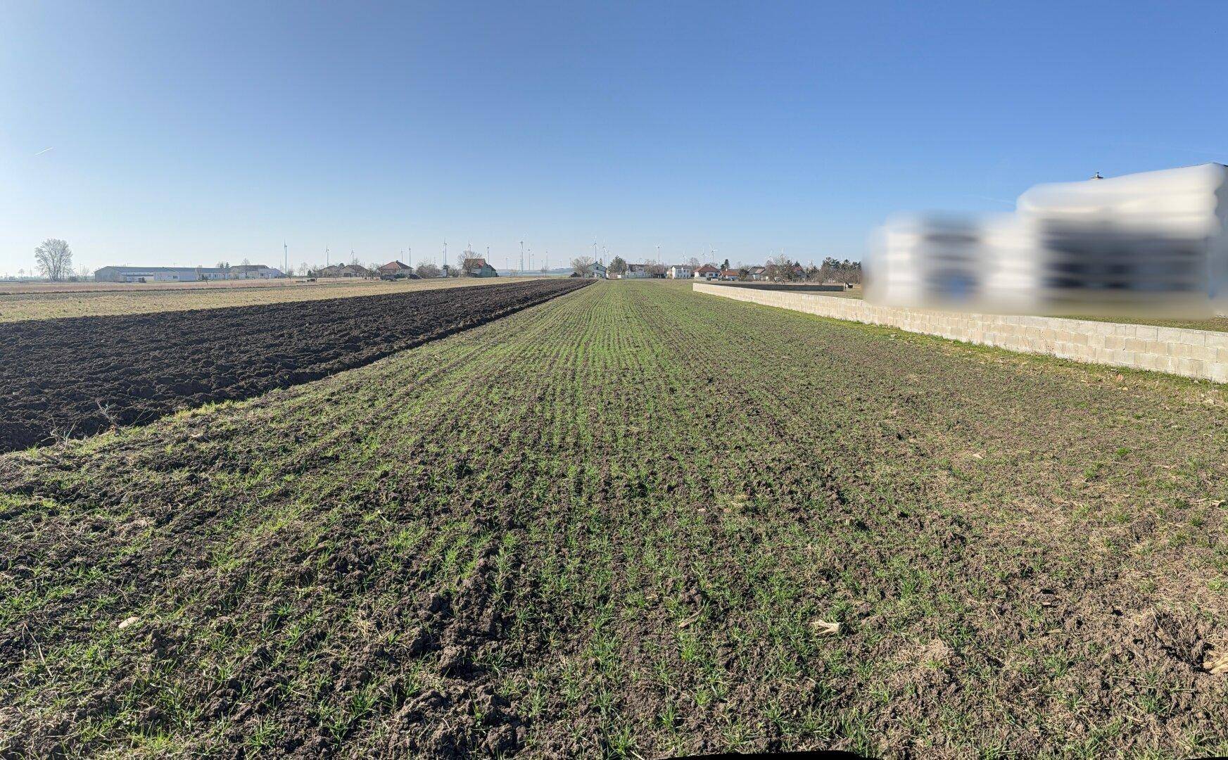 Ruhiges Baugrundstück am Ende einer Sackgasse - 660 m² in Nickelsdorf - Ansicht 4