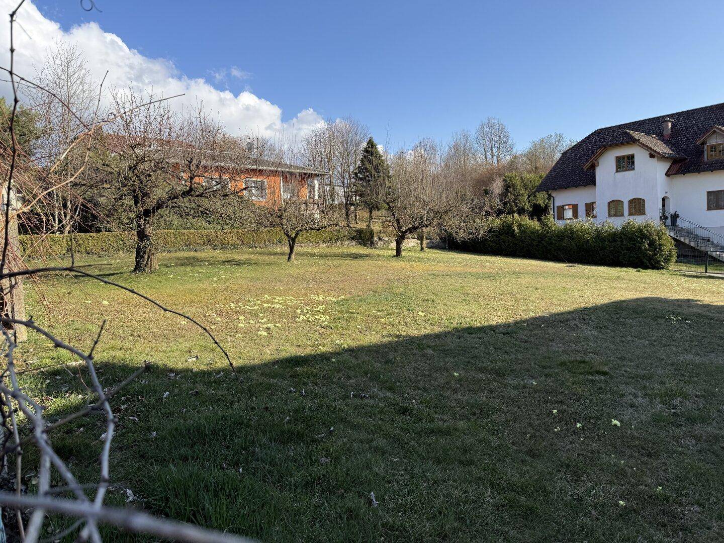 Weitläufige Rasenfläche mit Bäumen und Blick auf ein entferntes Haus.