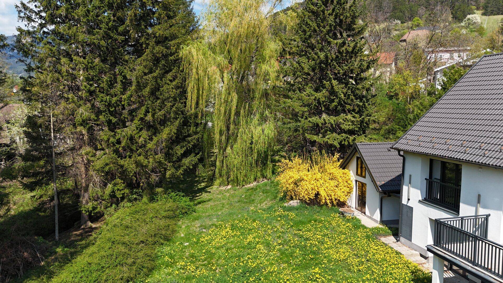 Grüner Gartenbereich mit blühenden Sträuchern und hohen Bäumen neben dem Haus.