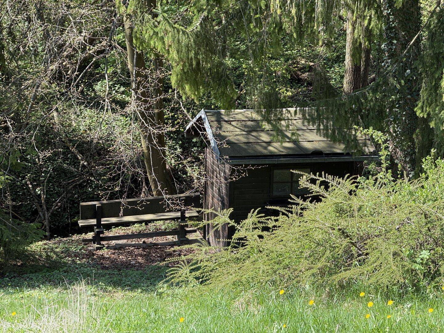 Kleiner Holzschuppen mit Sitzbank im grünen, bewaldeten Gartenbereich.