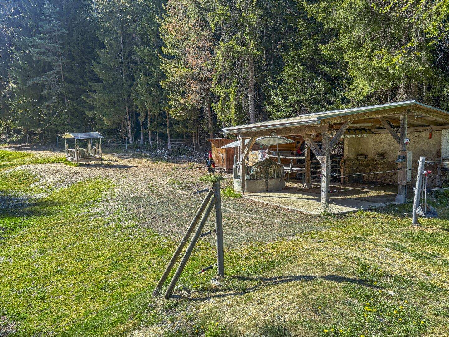 Außenbereich mit Holzunterstand und einem kleinen Holzgebäude im Hintergrund, umgeben von Grün.