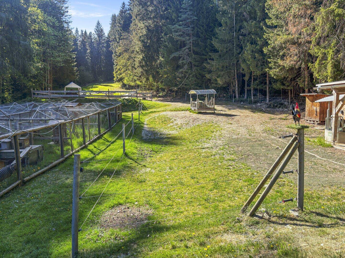 Außenbereich mit großem Tiergehege, kleinem Holzunterstand und einer Holztreppe im Grünen.