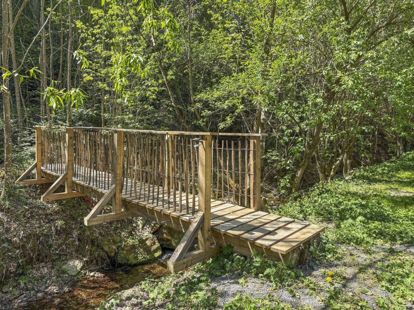Rustikale Holzbrücke über einen kleinen Bach, umgeben von dichtem Wald und grüner Vegetation.