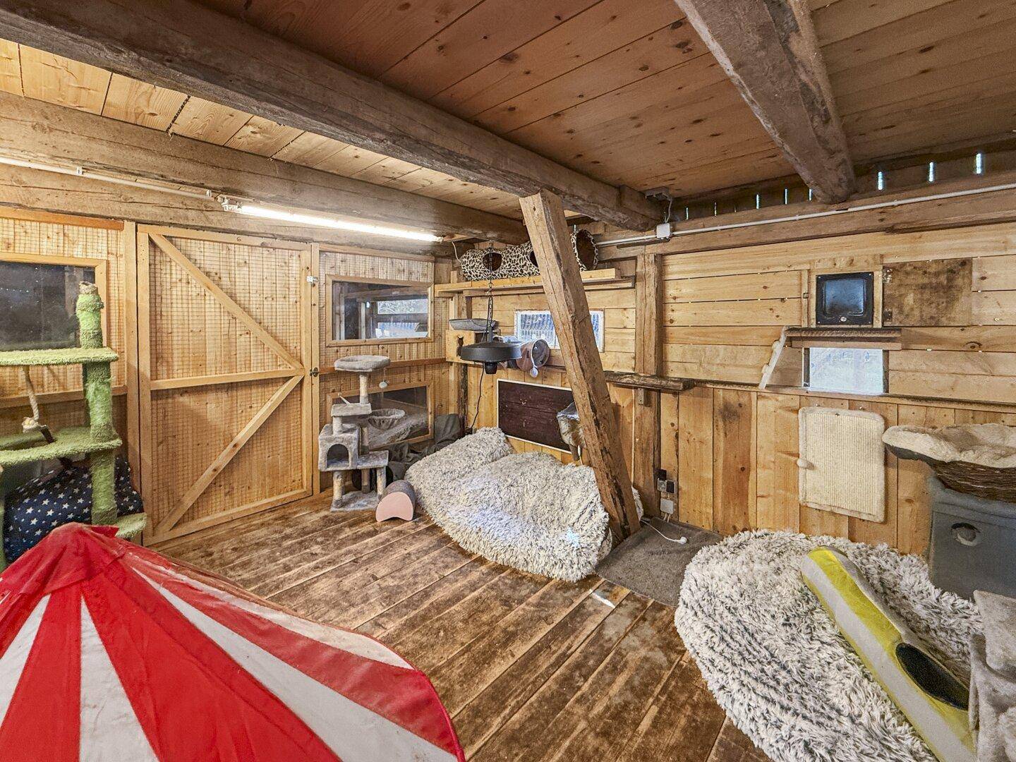 Geräumiger Tierbereich mit Holzwänden und -böden, ausgestattet mit vielfältigen Spiel- und Liegemöglichkeiten.