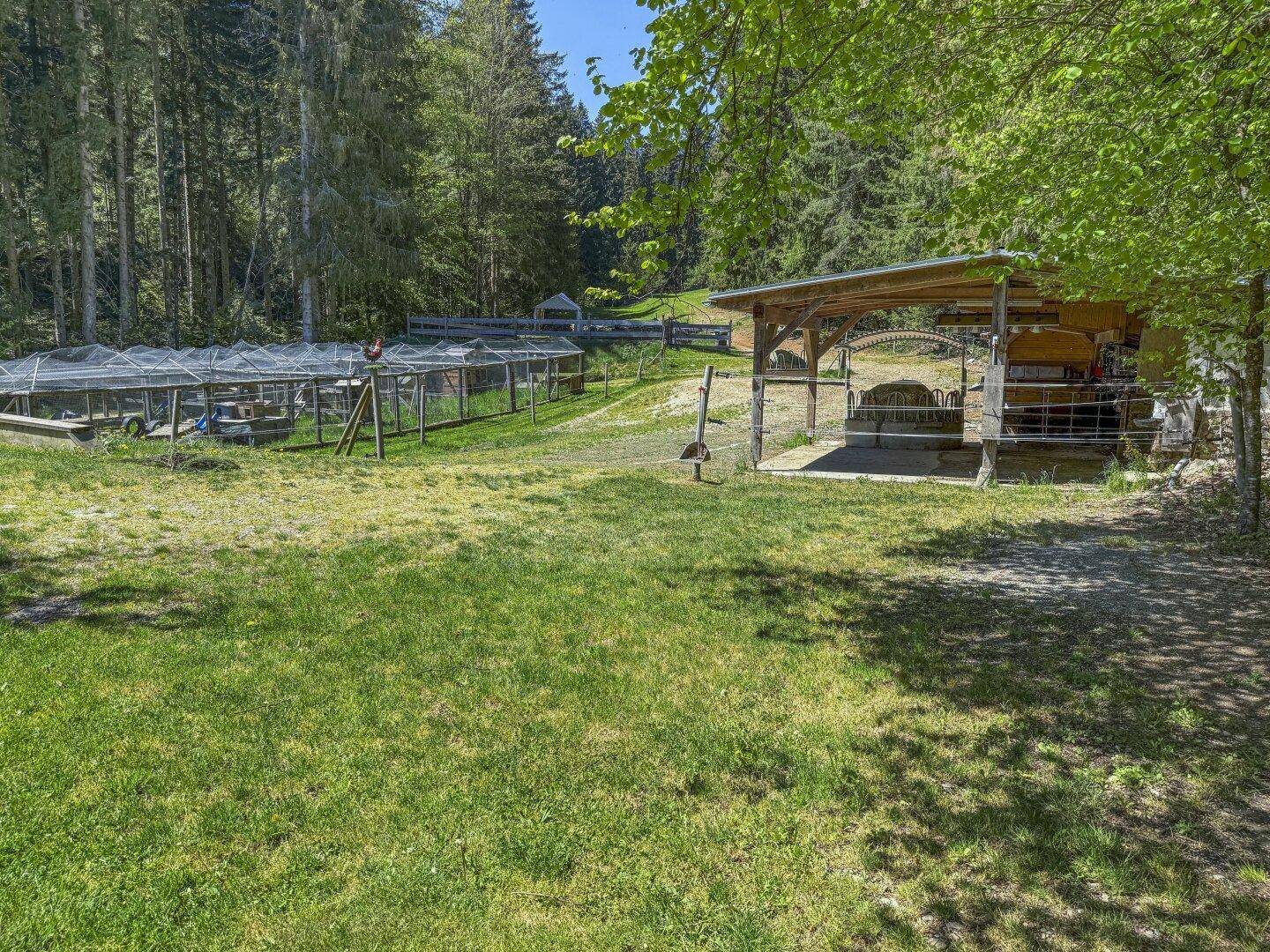 Außenbereich mit großem Tiergehege und einem überdachten Holzunterstand im Grünen.