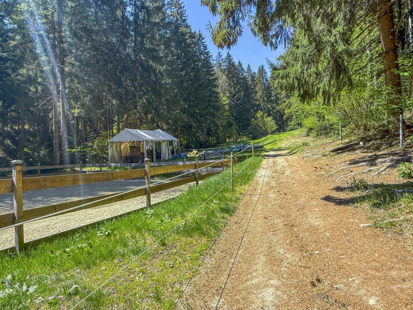 Waldweg führt an einem umzäunten Bereich und einem weißen Zelt im Hintergrund vorbei.