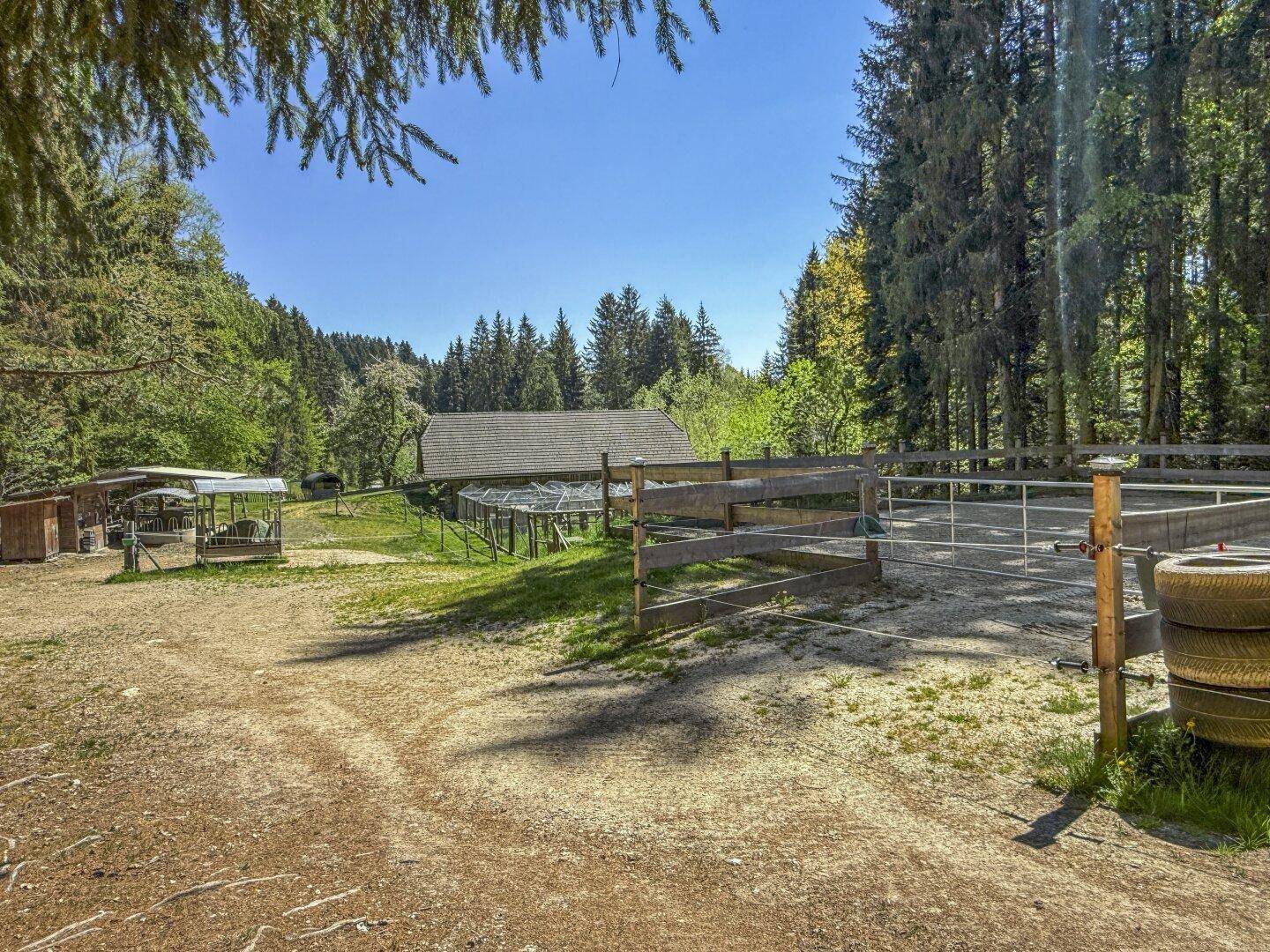 Außenbereich mit umzäuntem Reitplatz, Holzunterstand und großem Tiergehege im Hintergrund.