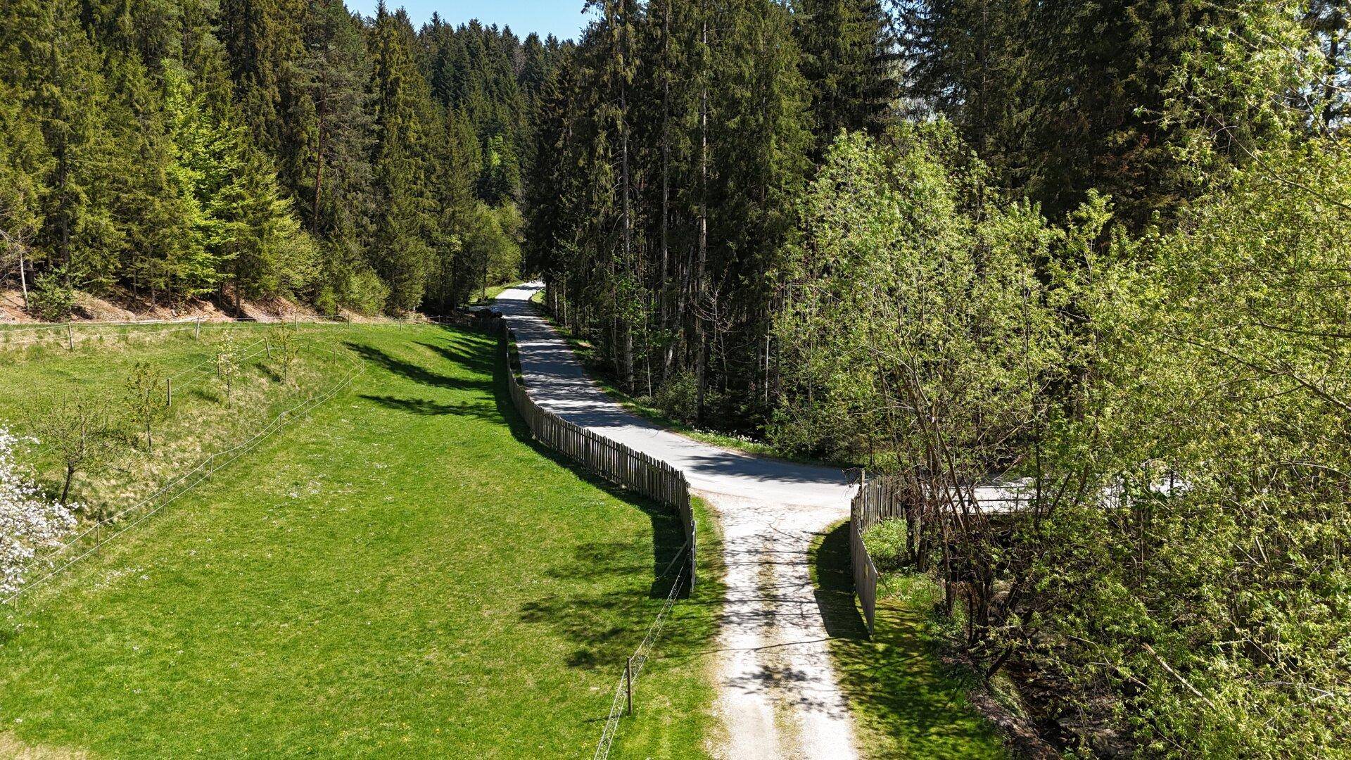 Schotterweg führt durch einen dichten Wald mit grünen Wiesen am Wegesrand.