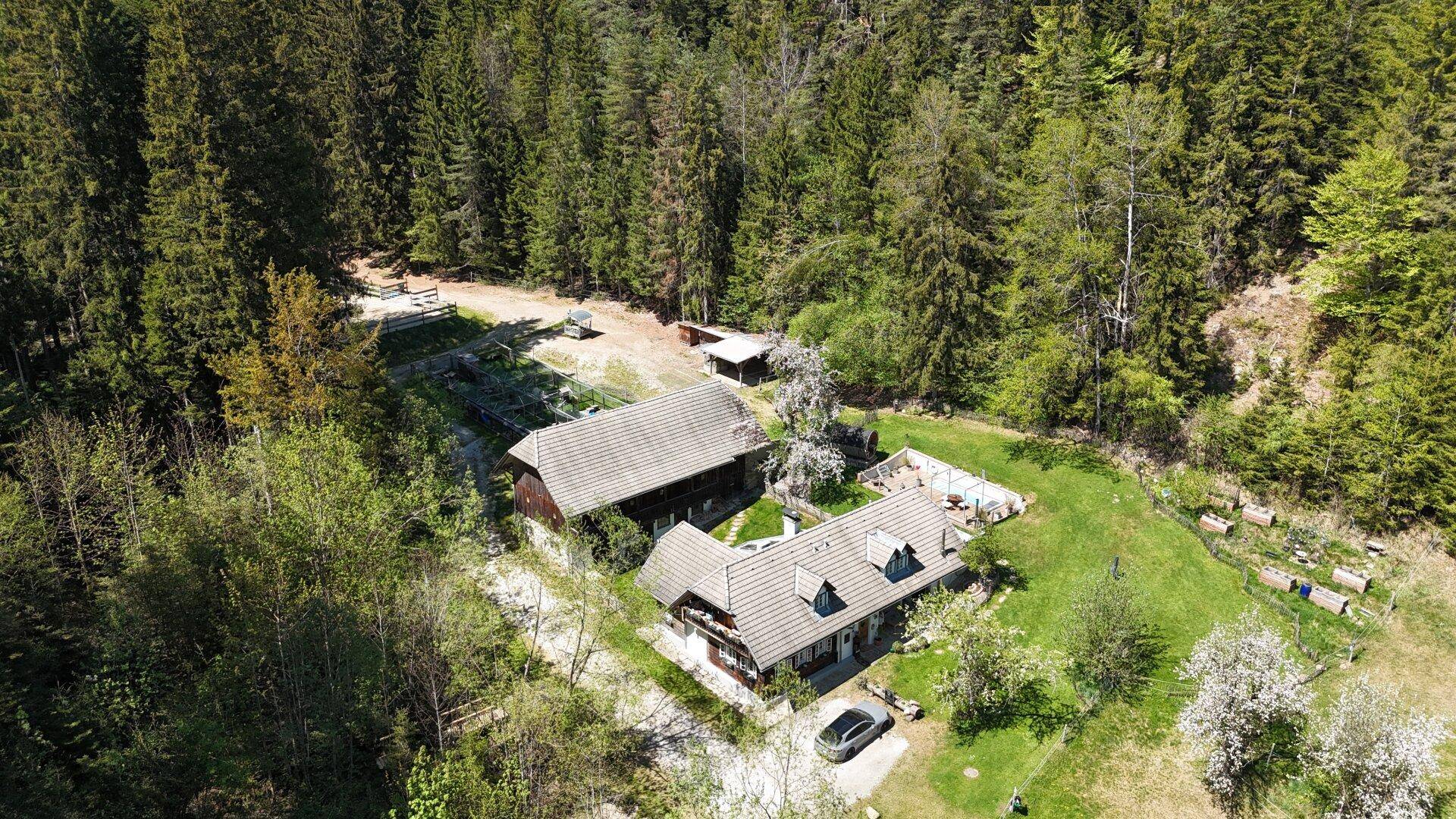 Weitläufige Luftaufnahme des gesamten Anwesens mit Haupthaus, Pool, Sauna und Waldumgebung.