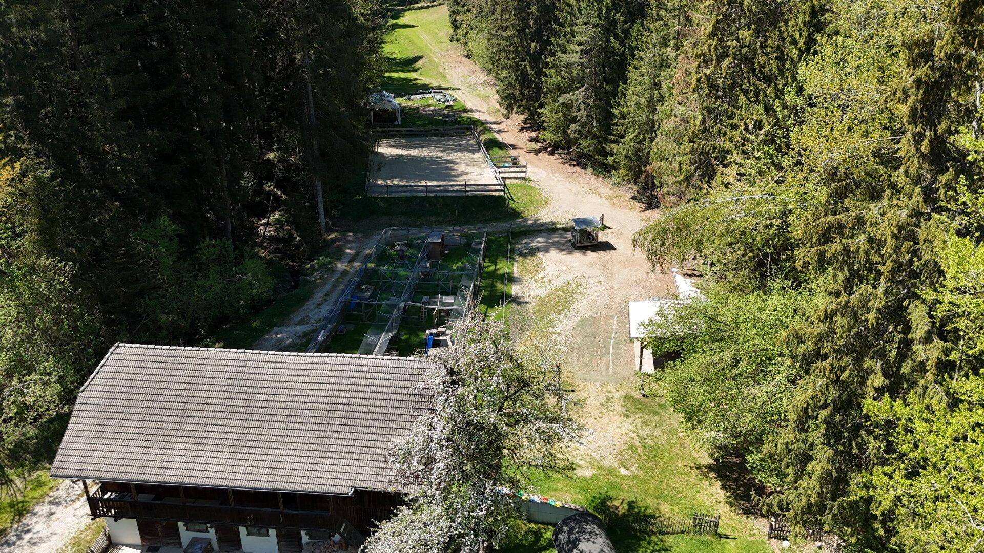 Luftaufnahme zeigt Rückseite eines Holzgebäudes, großes Tiergehege und Reitplatz im Wald.