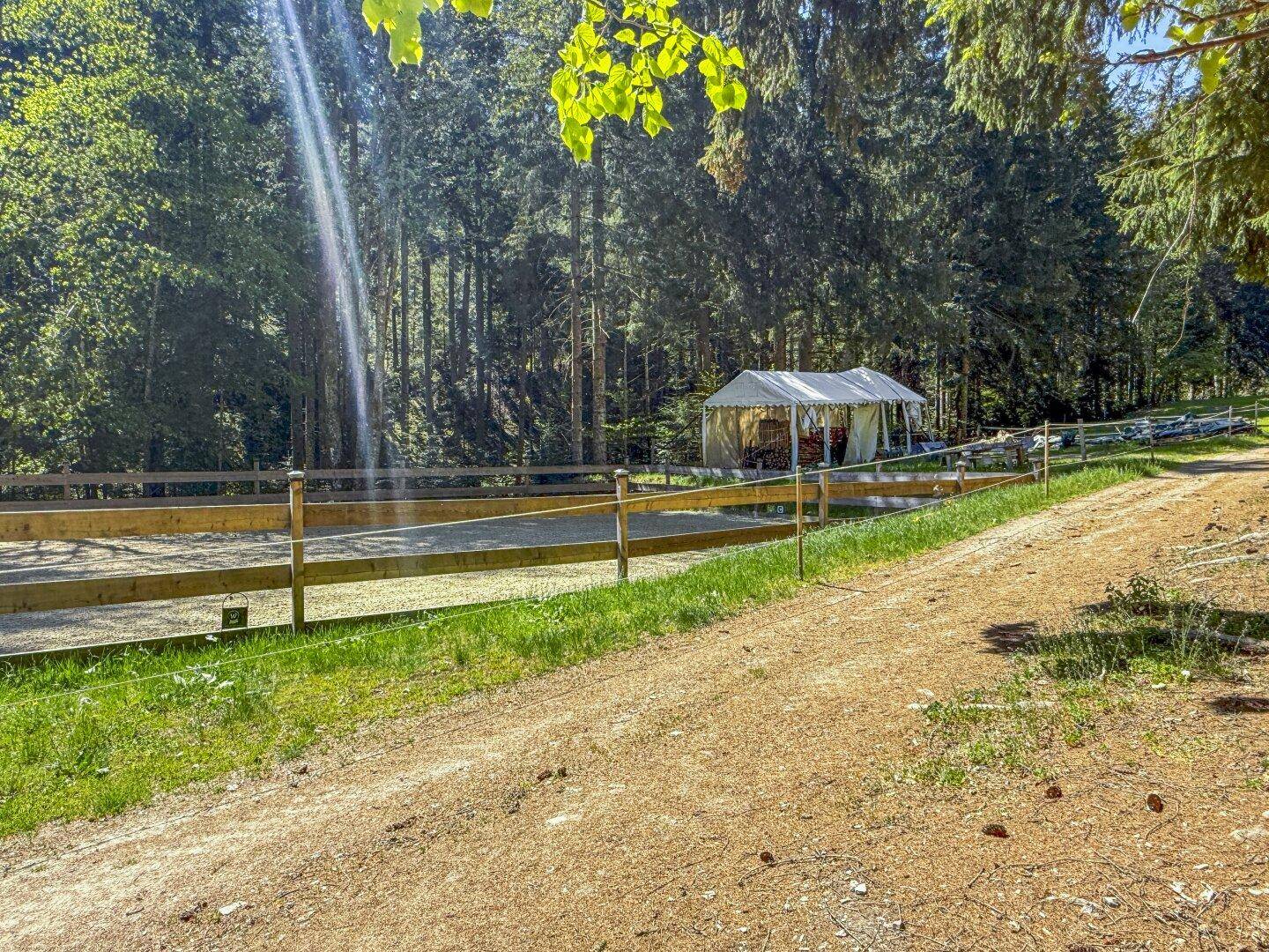 Waldweg führt an einem umzäunten Bereich und einem weißen Zelt im Hintergrund vorbei.