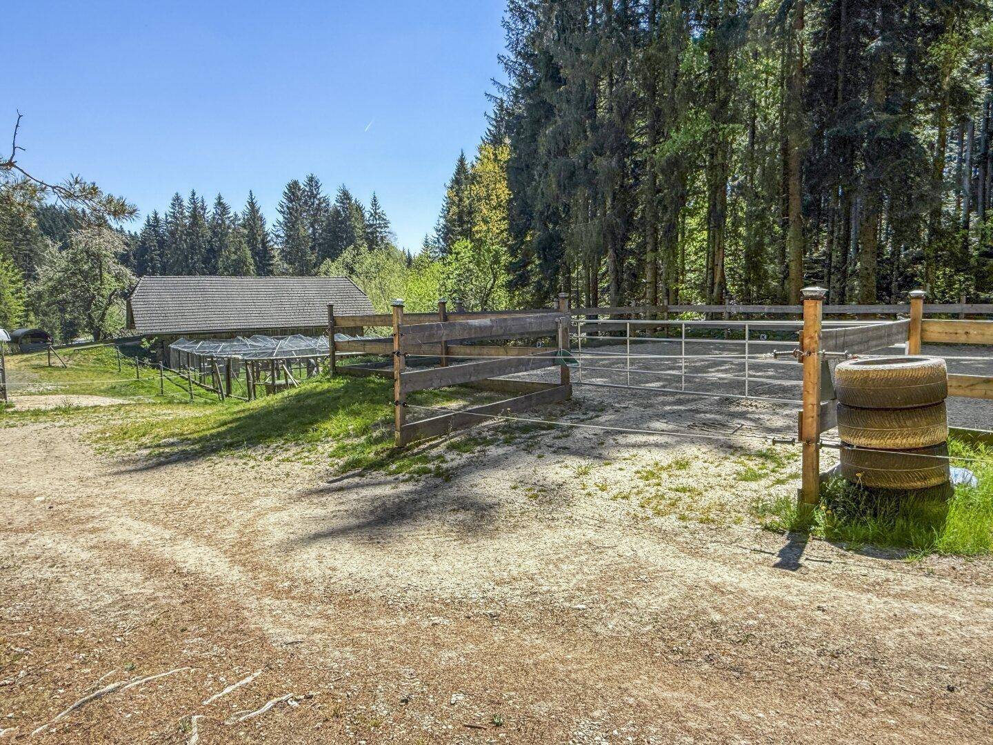 Außenbereich mit umzäuntem Reitplatz, Holzunterstand und großem Tiergehege im Hintergrund.