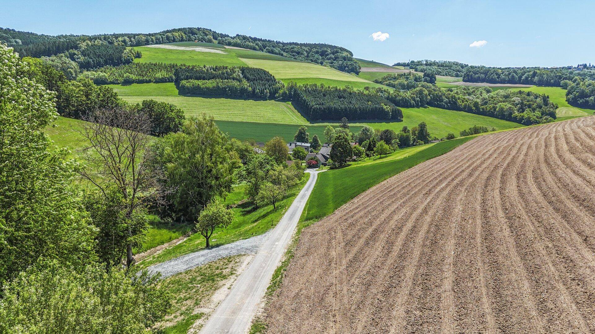 Weitläufige Landschaft mit grünen Hügeln, Feldern und einem Weg, der zu Häusern führt.