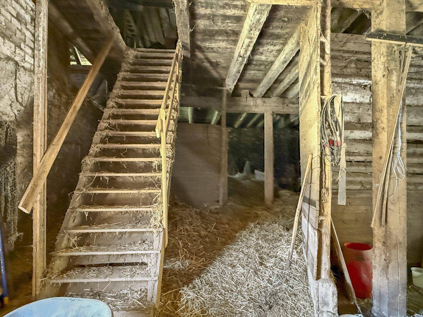 Scheuneninnenraum mit einer einfachen Holztreppe und viel Heu auf dem Boden.