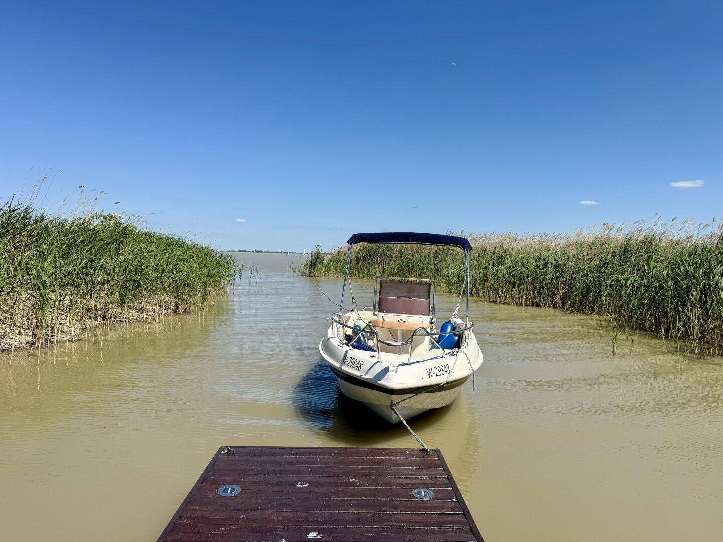 Blick vom Holzsteg auf ein Boot in einem schmalen Kanal, umgeben von hohem Schilf.