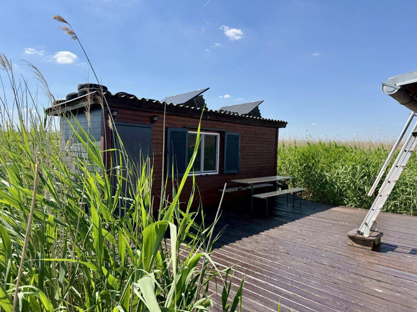Kleines Holzhaus mit Solarpaneelen auf dem Dach, umgeben von hohem Schilf.