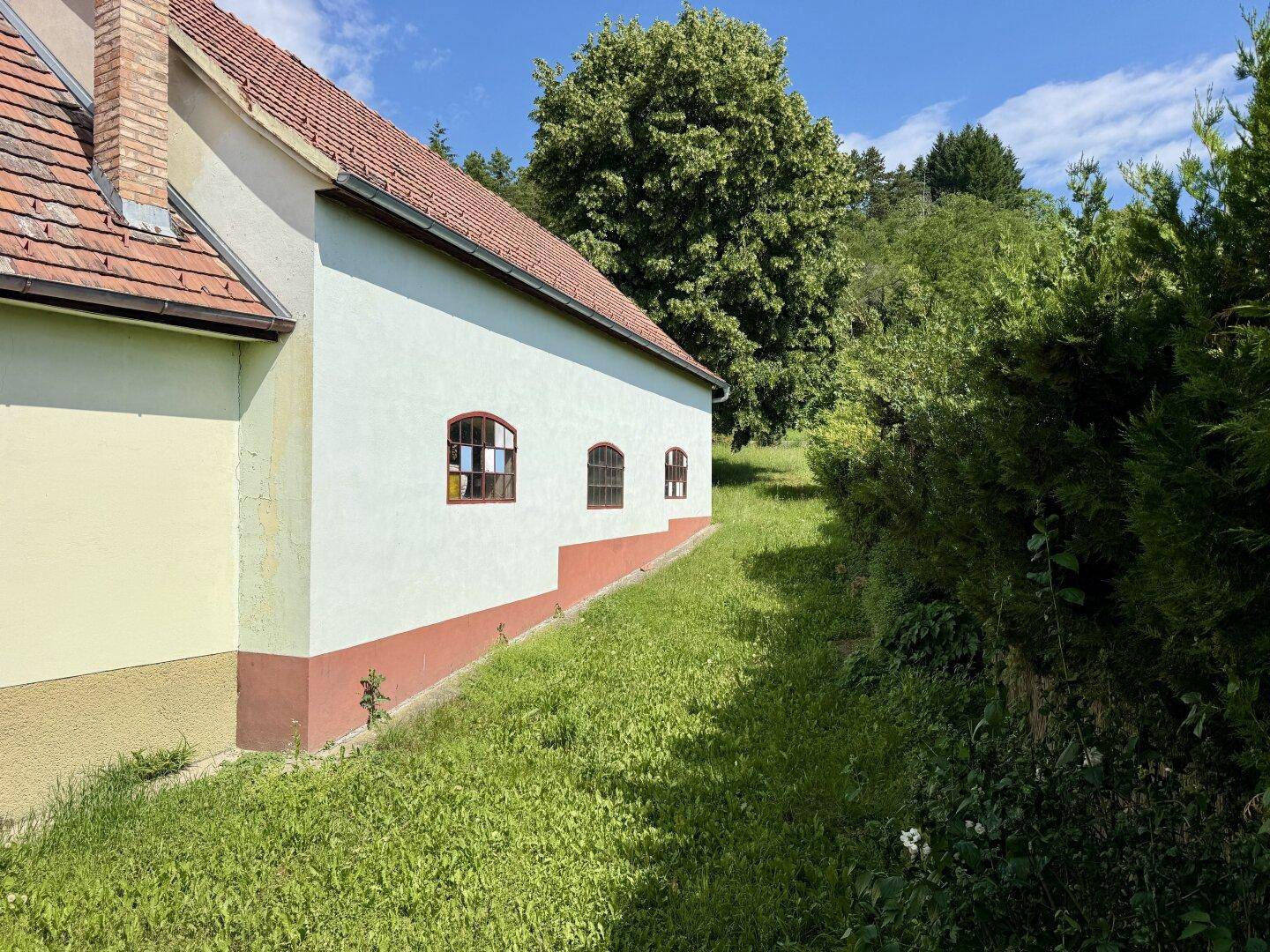 Ein Platz für große Träume: Haus mit großem Grundstück, Waldstück &amp; Lagerhalle in Wiesen - Ansicht 5